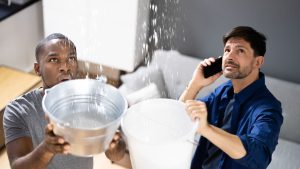 Roof leak Source