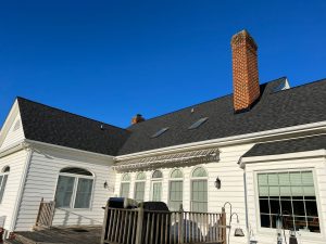 Black streaks on Roof