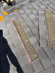 missing shingles after wind