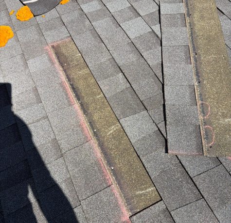 missing shingles after wind